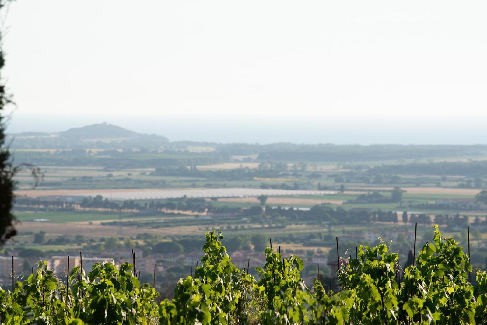 Castello Bonaria Wine & Spa Resort 坎丕里亚麦利蒂玛 外观 照片