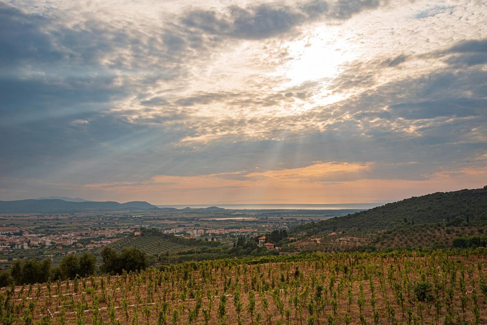 Castello Bonaria Wine & Spa Resort 坎丕里亚麦利蒂玛 外观 照片